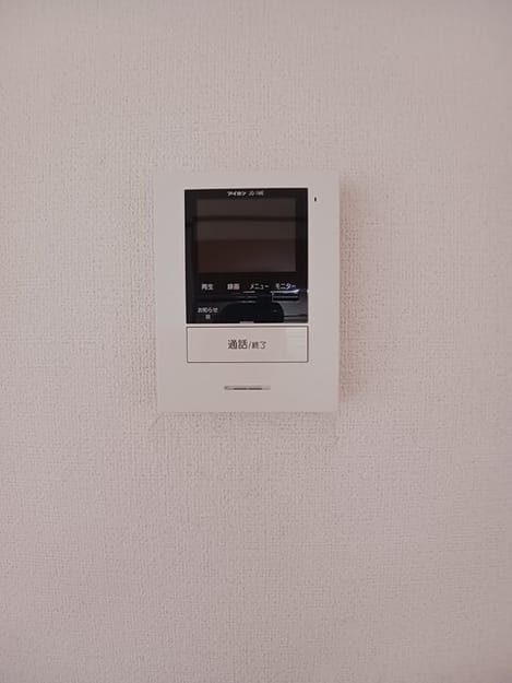 Naikan11 20260602000000