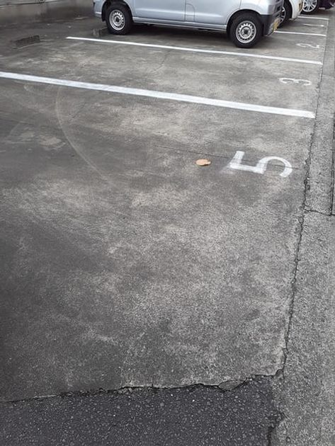 Naikan11 20221221000000 945x630