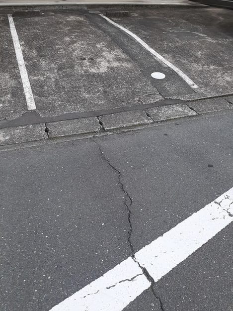 Naikan10 20230411000000