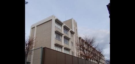 Naikan17 20250912000000