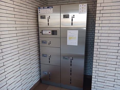 Naikan10 20250307000000