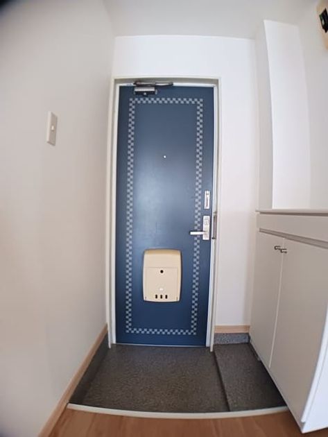 Naikan11 20241015000000 945x630