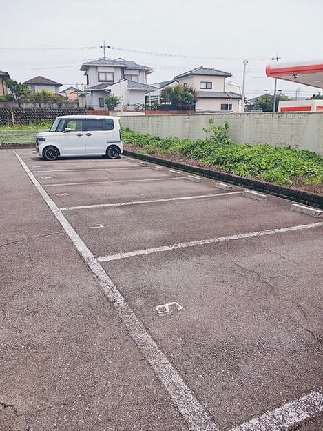 Naikan10 20260630000000