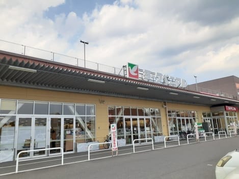 Naikan14 20241203000000