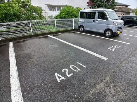 Naikan11 20260626000000