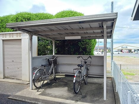 Naikan10 20260623000000