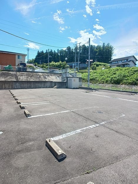 Naikan11 20260629000000