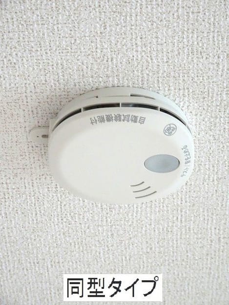 Naikan9 20260514000000