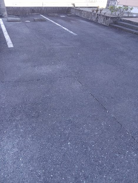Naikan10 20250121000000