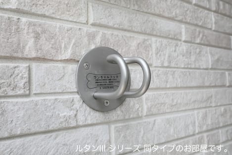 Naikan12 20260518000000