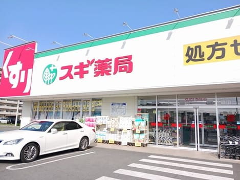 Naikan17 20250604000000