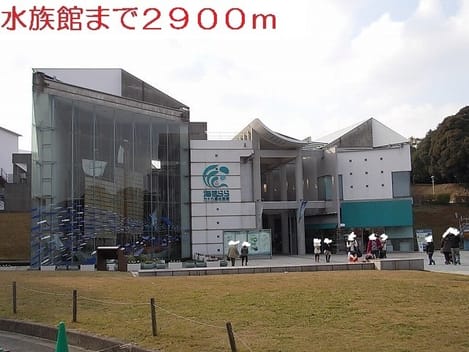 Naikan18 20200703000000