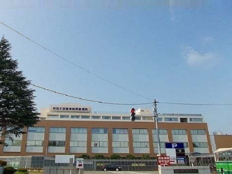 Naikan13 20250210000000