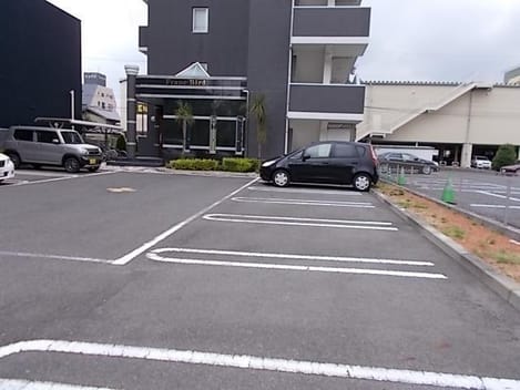 Naikan11 20250502000000