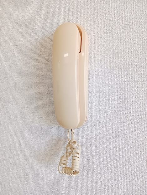 Naikan10 20260729000000