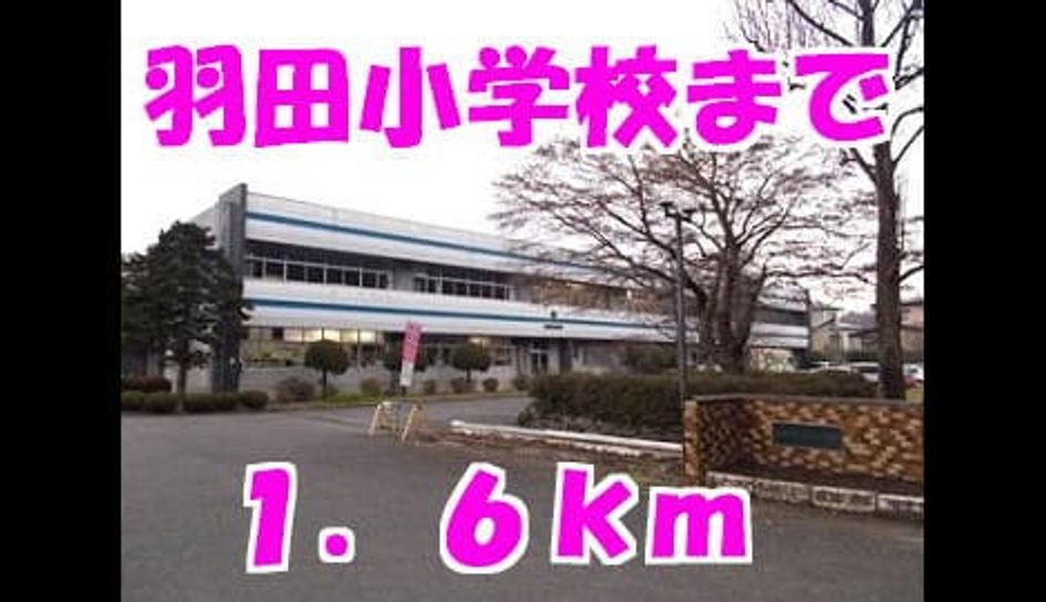 Naikan16 20131221000000 945x630