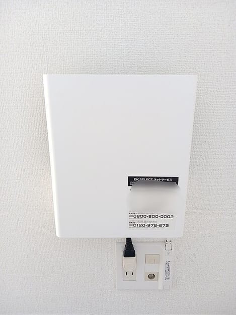 Naikan11 20260824000000