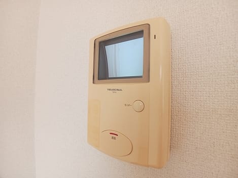 Naikan11 20260730000000