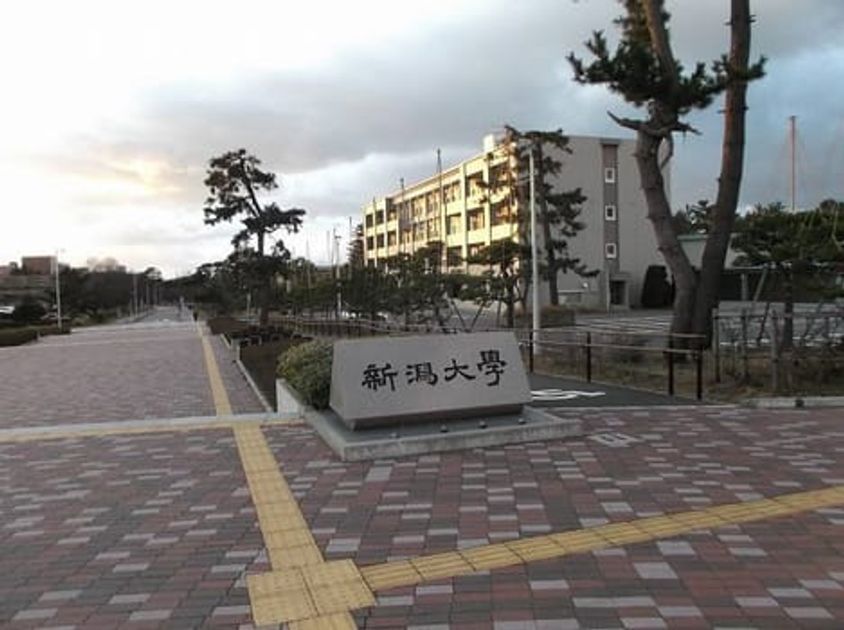Naikan15 20211028000000 945x630