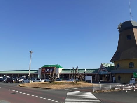 Naikan16 20260817000000