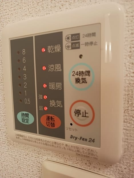 Naikan10 20241112000000