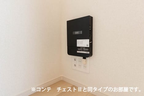 Naikan11 20260707000000