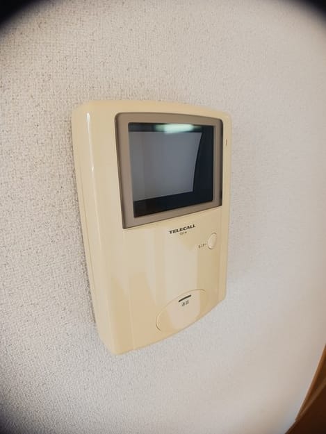 Naikan9 20250203000000