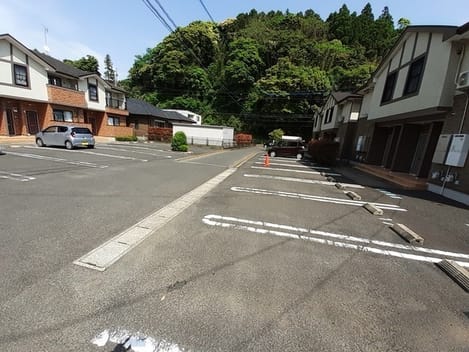 Naikan10 20260817000000