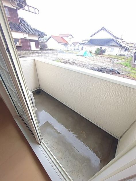 Naikan8 20241213000000 945x630