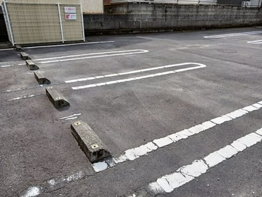 Naikan11 20250328000000 945x630