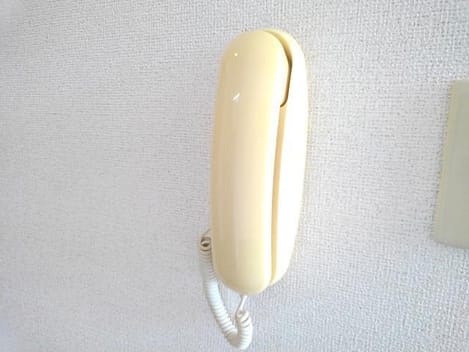 Naikan7 20260626000000