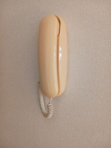 Naikan8 20261023000000 945x630