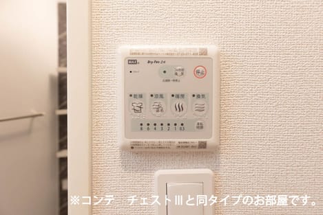 Naikan11 20260626000000