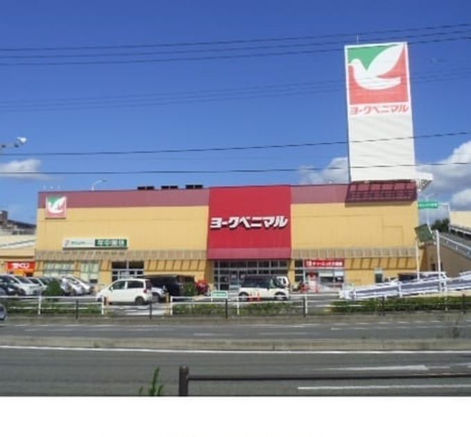 Naikan18 20211213000000 945x630