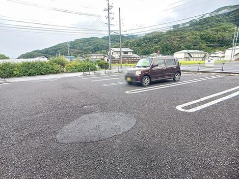 Naikan11 20260904000000