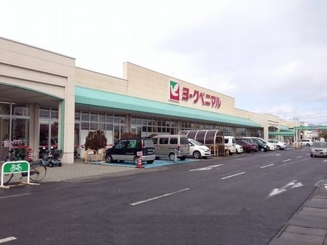 Naikan13 20230329000000