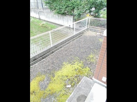 Naikan12 20140612000000