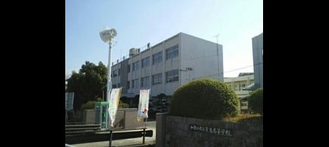 Naikan17 20250326000000
