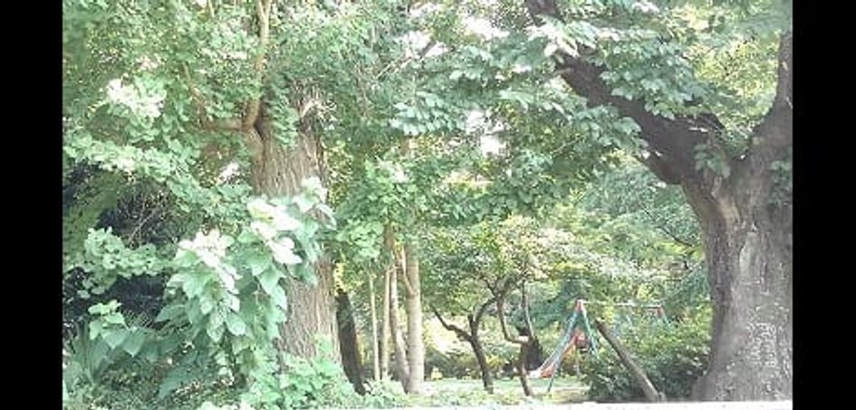 Naikan17 20260806000000 945x630