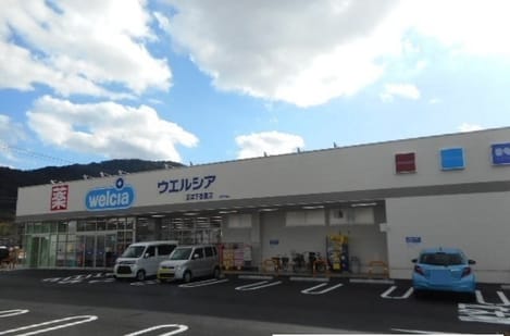Naikan17 20250425000000