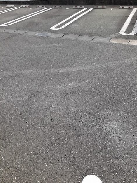 Naikan10 20230414000000