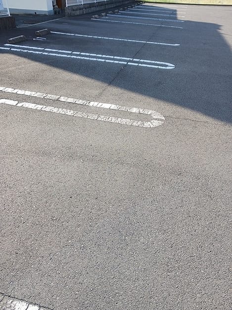 Naikan11 20260917000000