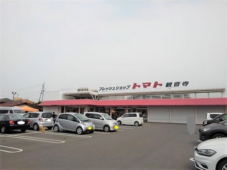 Naikan13 20230215000000