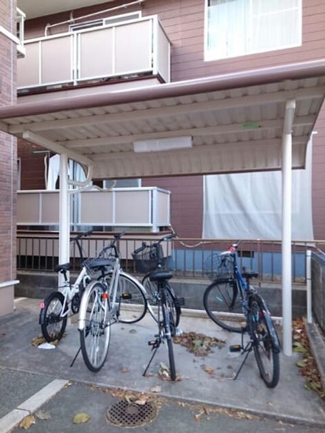 Naikan11 20221201000000 945x630