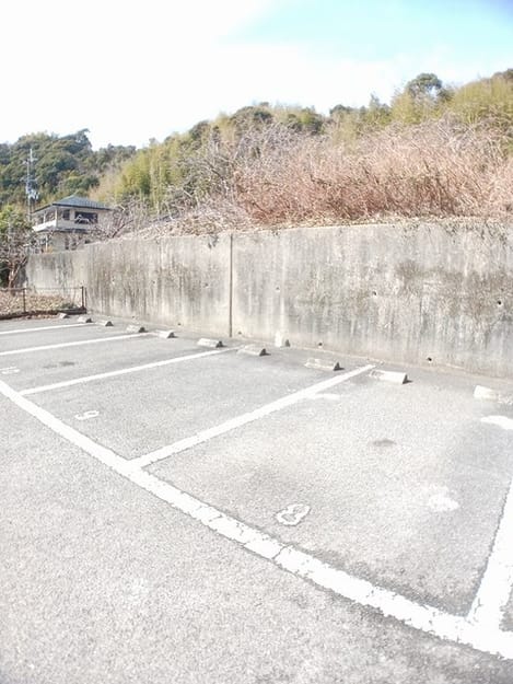 Naikan11 20250203000000