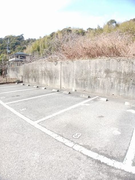 Naikan11 20250203000000 945x630