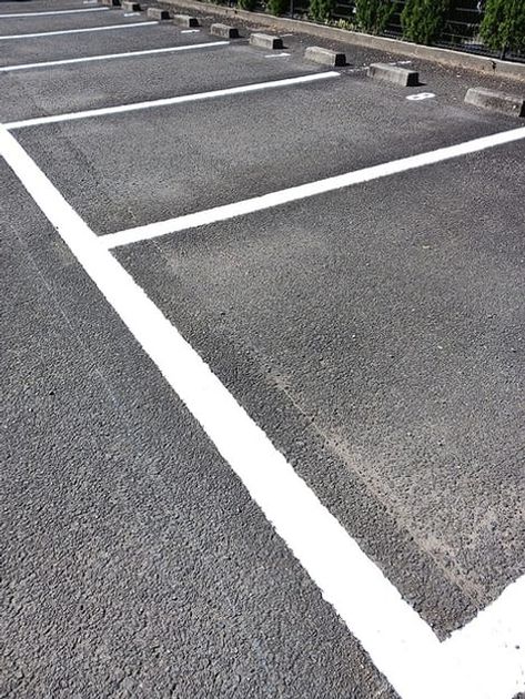 Naikan11 20261029000000 945x630