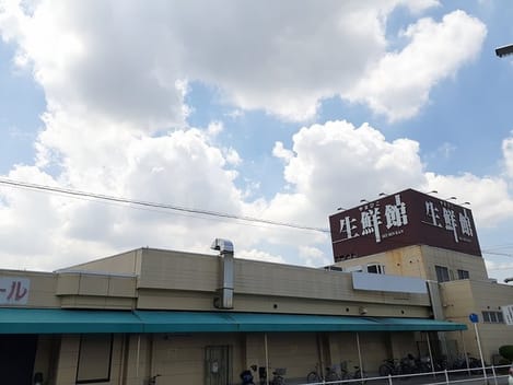 Naikan14 20220711000000