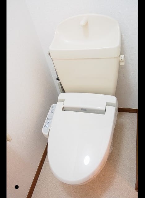 Naikan8 20260819000000