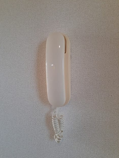 Naikan9 20220328000000